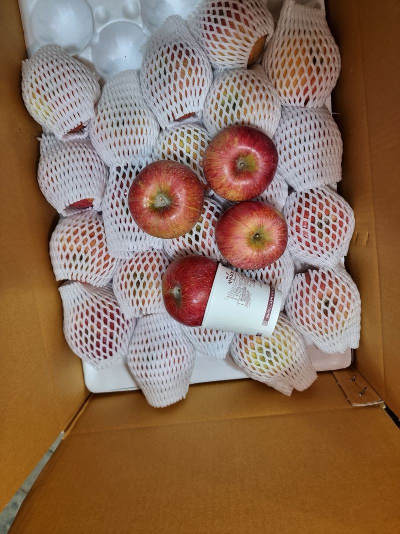 호랑이와인성이님의 장터 판매 상품 [(특가)봉화부사  5kg ] 첨부 사진