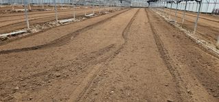 뿌리묘목농원님의 자유주제 · 자유게시판 작성글 사진