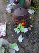 팜모닝 · 게시글 이미지