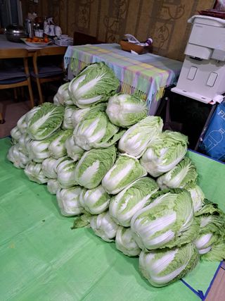 정자형님의 자유주제 · 자유게시판 작성글 사진