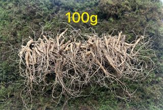 진상빈님의 작성글 사진