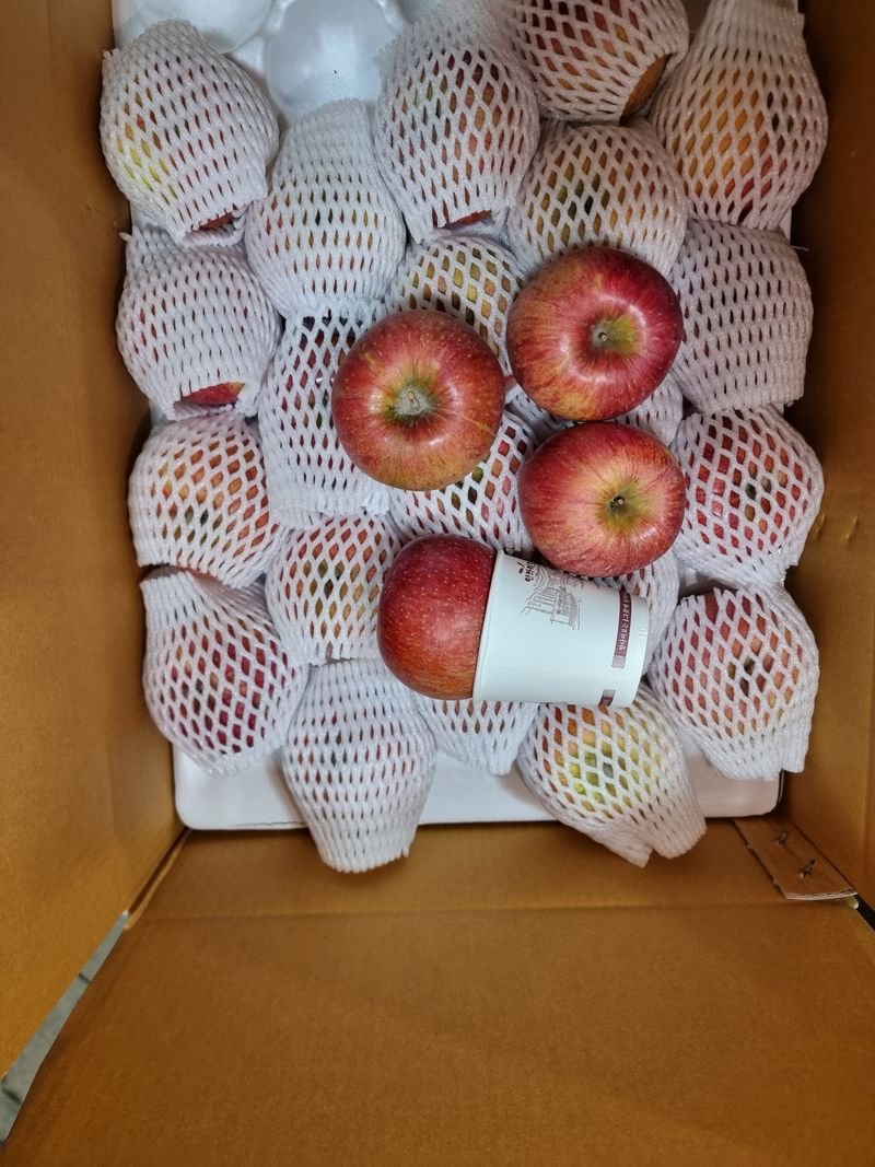 호랑이와인성이님의 장터 판매 상품 [봉화 부사 5kg] 첨부 사진