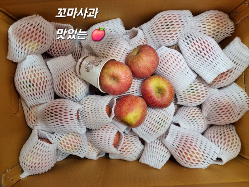 호랑이와인성이님의 장터 판매 상품 [봉화 부사 5kg] 첨부 사진