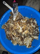 팜모닝 자유주제·자유게시판 게시글 이미지