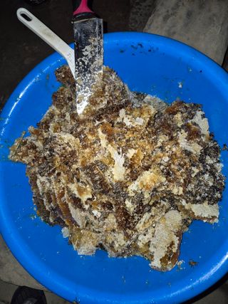 정석도님의 자유주제 · 자유게시판 작성글 사진