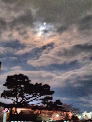 MSG0074님의 자유주제 · 자유게시판 작성글 사진