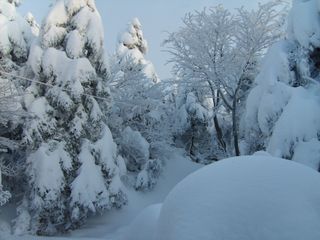제주농부님의 자유주제 · 자유게시판 작성글 사진