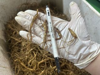 진상빈님의 작성글 사진