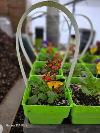 약초원 김종군님의 자유주제 · 자유게시판 작성글 사진