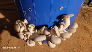 이동훈님의 자유주제 · 자유게시판 작성글 사진