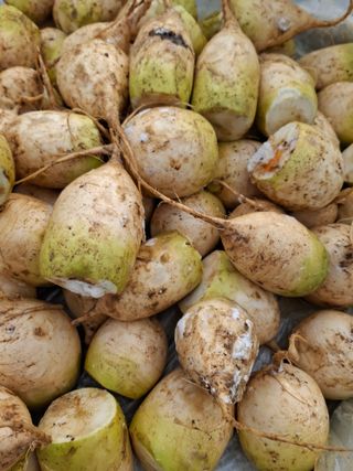 초보굴백이님의 자유주제 · 자유게시판 작성글 사진