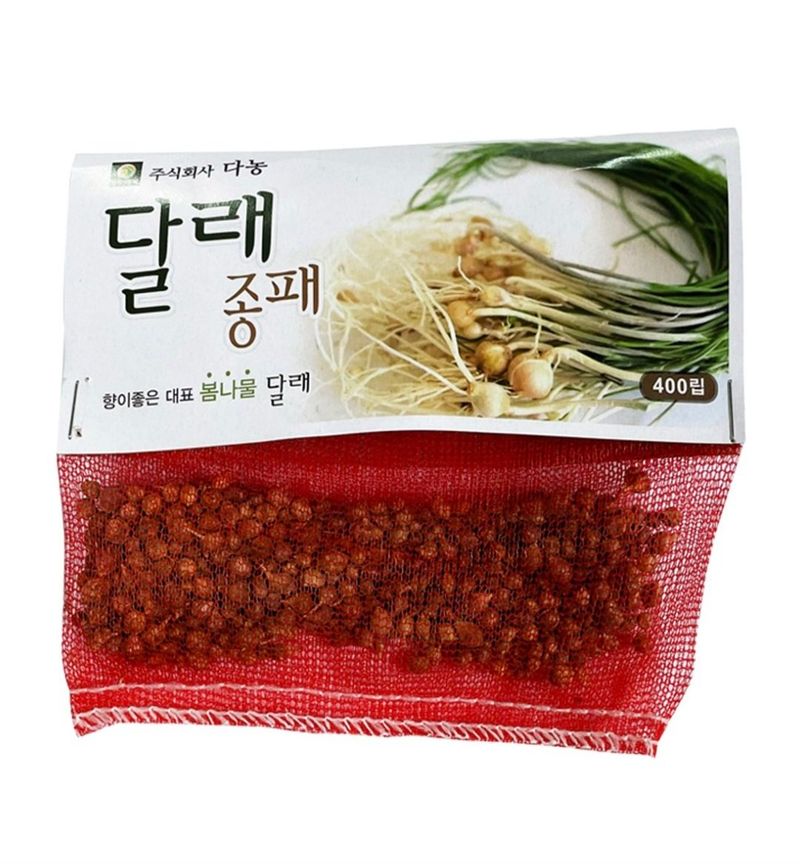장터 상품 [26년 달래씨앗 달래종패 400립 5봉 구매시 랜덤씨앗 1개 증정] 썸네일