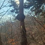 팜모닝 자유주제·자유게시판 게시글 이미지