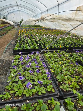 약초원 김종군님의 자유주제 · 자유게시판 작성글 사진