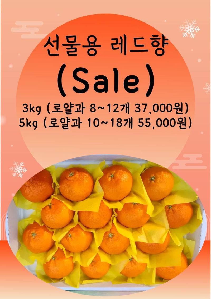 제주부자팜님의 장터 판매 상품 [레드향  3kg 5kg 10kg  ] 첨부 사진