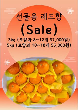 제주부자팜님의 작성글 사진