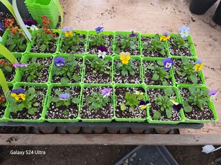 약초원 김종군님의 자유주제 · 자유게시판 작성글 사진