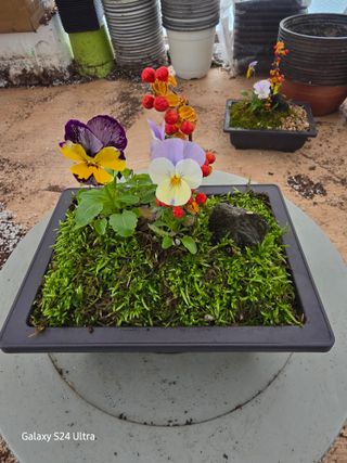 약초원 김종군님의 자유주제 · 자유게시판 작성글 사진