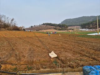 주인성님의 자유주제 · 자유게시판 작성글 사진