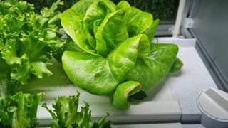 심귀현 님의 자유주제 · 건의해요 작성글 사진