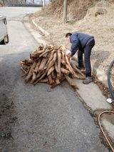 팜모닝 자유주제·자유게시판 게시글 이미지
