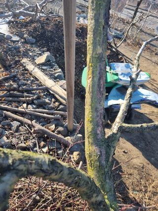 김용대님의 자유주제 · 자유게시판 작성글 사진