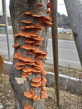 팜모닝 자유주제·자유게시판 게시글 이미지