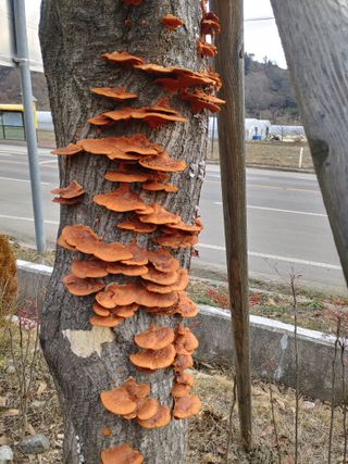 이현상님의 자유주제 · 자유게시판 작성글 사진