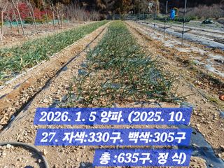 박성민님의 자유주제 · 자유게시판 작성글 사진