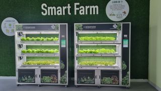 심귀현 님의 자유주제·건의해요 작성글 사진