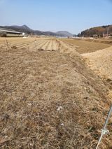 팜모닝 자유주제·자유게시판 게시글 이미지