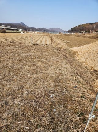 최상길 님의 자유주제 · 자유게시판 작성글 사진