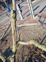 팜모닝 자유주제·자유게시판 게시글 이미지