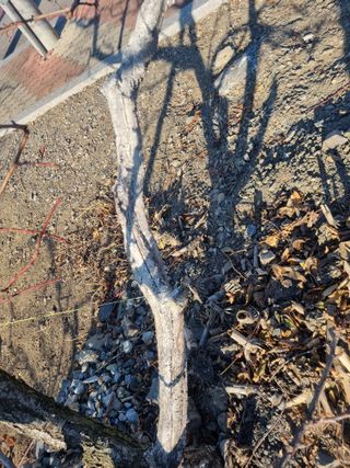 김용대님의 자유주제 · 자유게시판 작성글 사진