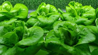 심귀현 님의 자유주제 · 건의해요 작성글 사진