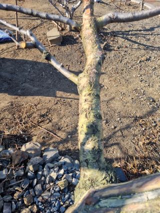 김용대님의 자유주제 · 자유게시판 작성글 사진