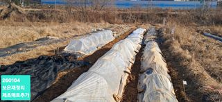 kh글로벌님의 농사, 무엇이든 물어보세요! · 참여글 작성글 사진