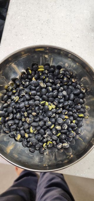 귤8199님의 농사, 무엇이든 물어보세요! · 참여글 작성글 사진