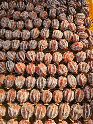 백용기님의 자유주제 · 자유게시판 작성글 사진