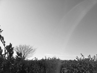 산방자연농원님의 자유주제 · 자유게시판 작성글 사진