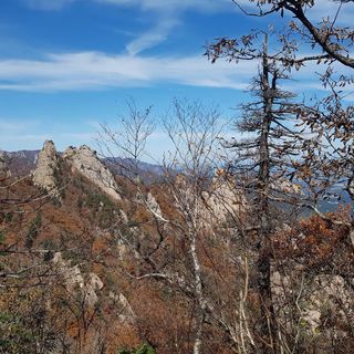 제주농부님의 자유주제 · 자유게시판 작성글 사진
