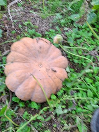 변귀재님의 작성글 사진