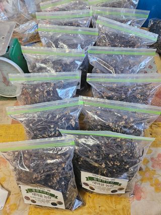 고사리.밤.육쪽마늘님의 자유주제 · 자유게시판 작성글 사진