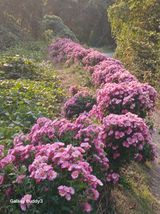 팜모닝 · 게시글 이미지