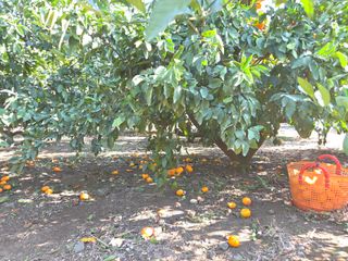 산방자연농원님의 자유주제 · 자유게시판 작성글 사진