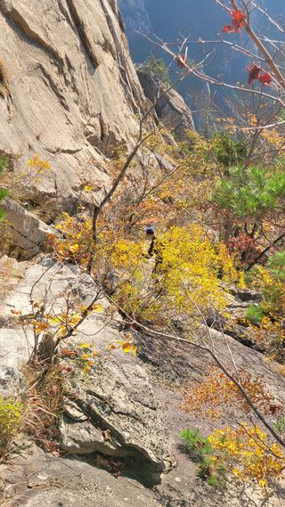 제주농부님의 자유주제 · 자유게시판 작성글 사진