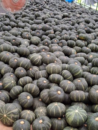 변귀재님의 작성글 사진