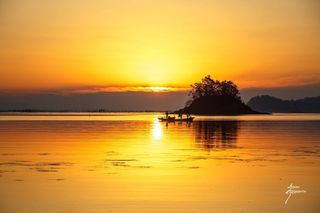 양김정숙님의 작성글 사진