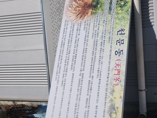 이창신님의 자유주제 · 자유게시판 작성글 사진