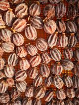 팜모닝 자유주제·자유게시판 게시글 이미지